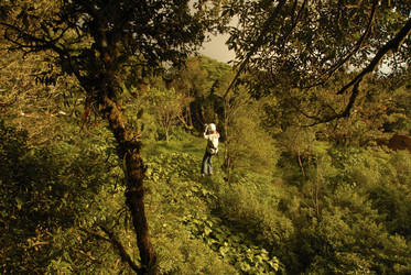 Similar image 8164792