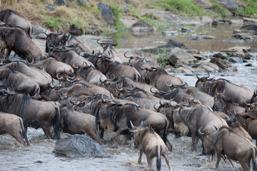 Similar image 8164793