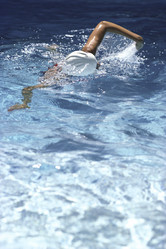 Similar image 8164794