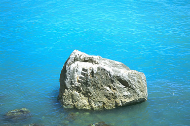 Similar image 8164812