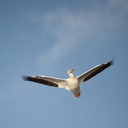 Similar image 8164813