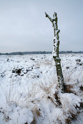 Similar image 8164819