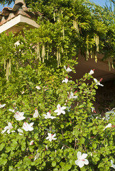 Similar image 8164823