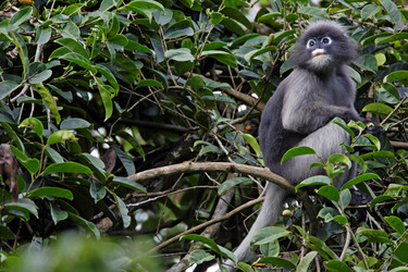 Similar image 8164828