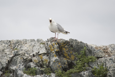 Similar image 8164829