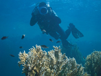 Similar image 8164830