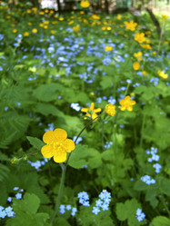 Similar image 8164836