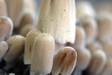 Similar image 8164849