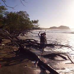 Similar image 8164874