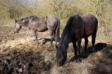 Similar image 8164876