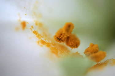 Similar image 8164877