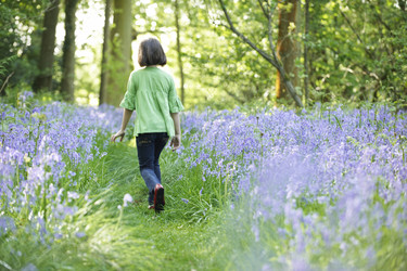 Similar image 8164885