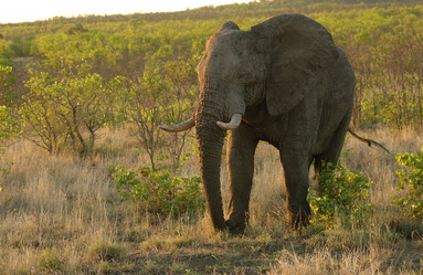 Similar image 8164886