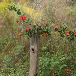 Similar image 8164892