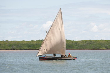 Similar image 8164895