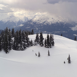 Similar image 8164904