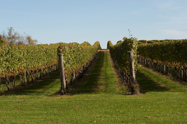 Similar image 8164907