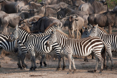 Similar image 8164922