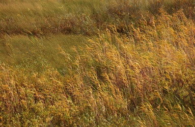 Similar image 8164925