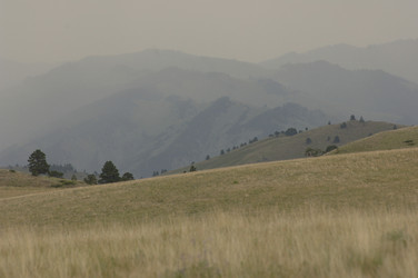 Similar image 8164931