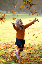 Similar image 8164937