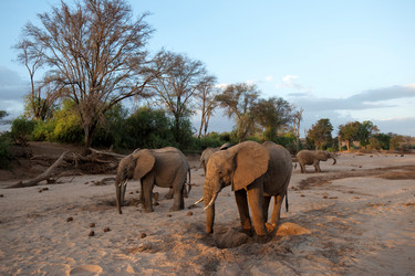 Similar image 8164938