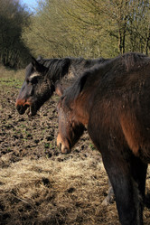 Similar image 8164944