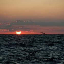 Similar image 8164947