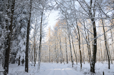 Similar image 8164950