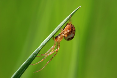 Similar image 8164967