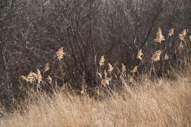 Similar image 8164968