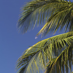 Similar image 8164972