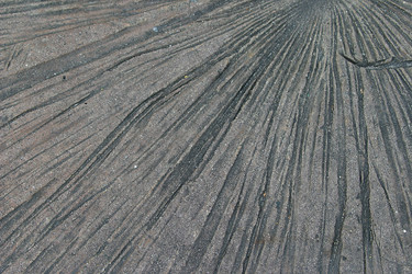 Similar image 8164977