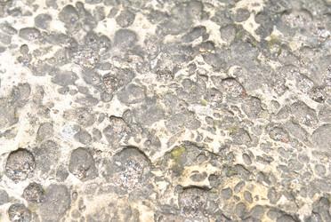 Similar image 8164980