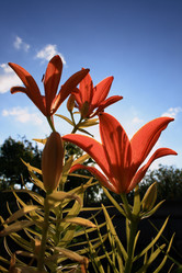 Similar image 8164981