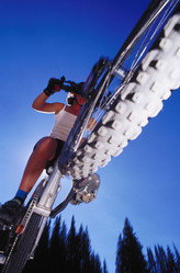 Similar image 8164985