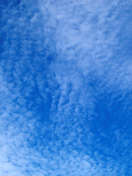 Similar image 8164989