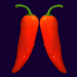 Similar image 8164997