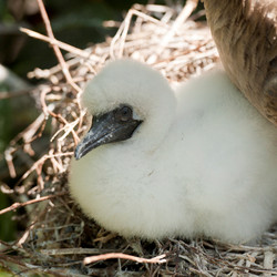 Similar image 8164998