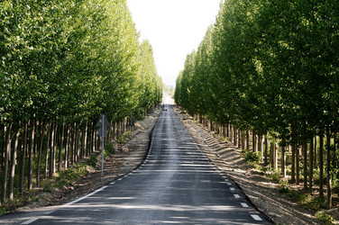 Similar image 8165000