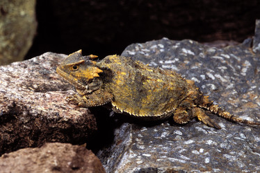 Similar image 8165009