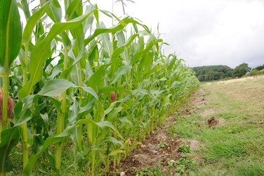 Similar image 8165015