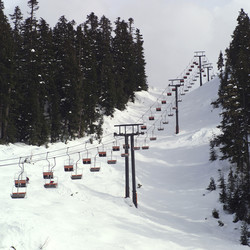 Similar image 8165018