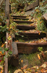 Similar image 8165024