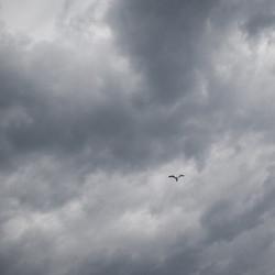 Similar image 8165025