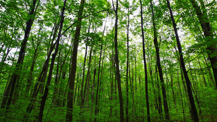 Similar image 8165026