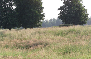 Similar image 8165035