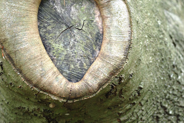 Similar image 8165036