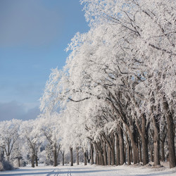 Similar image 8165037