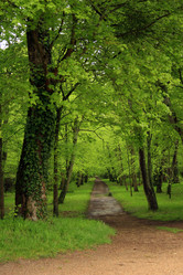 Similar image 8165039